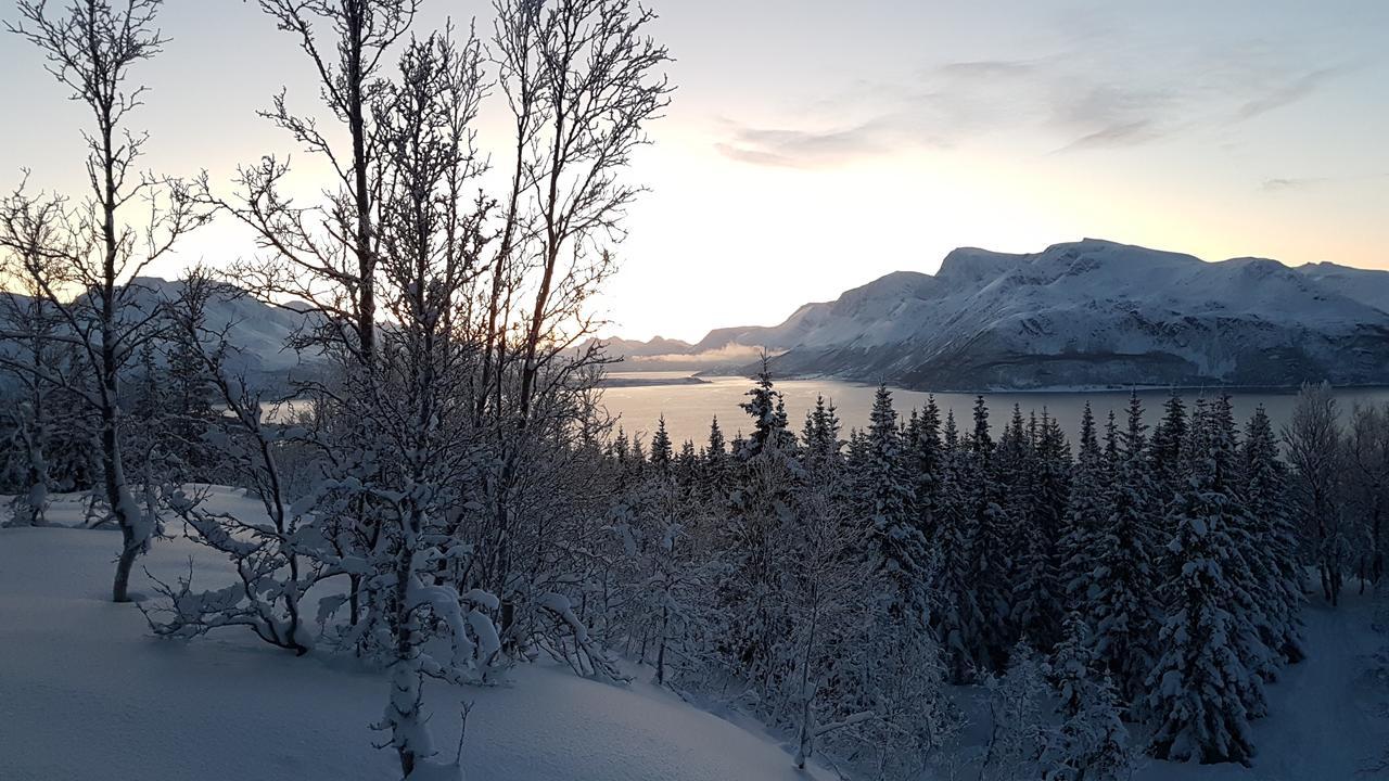 Slettvold Lyngen Βίλα Svensby Εξωτερικό φωτογραφία